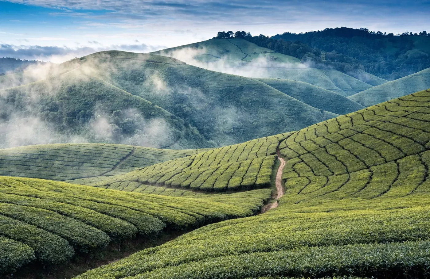 Taste Malaysia – Pahang