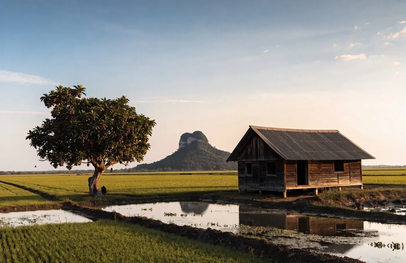 Taste Malaysia – Perlis